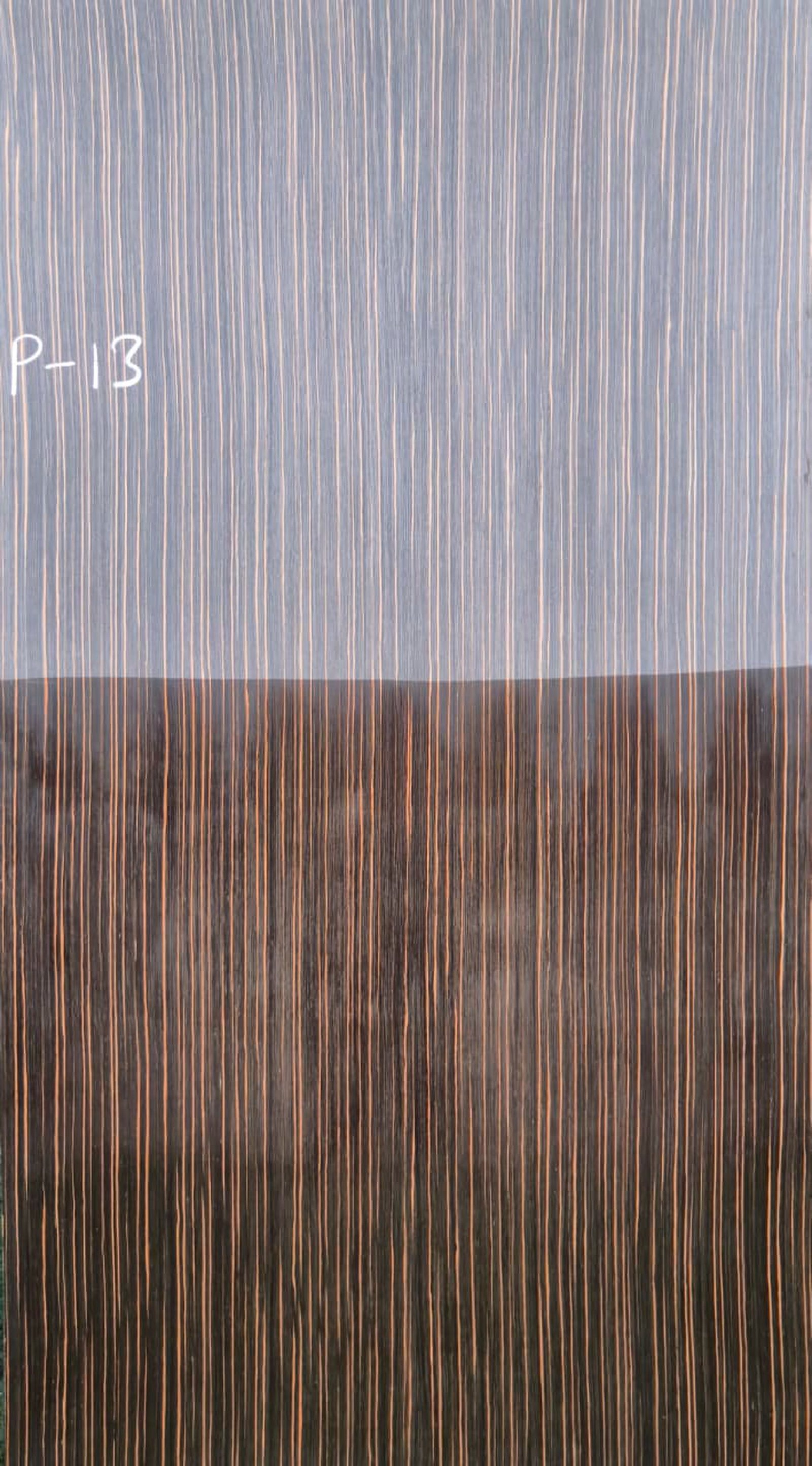 P-13 Rain Ebony